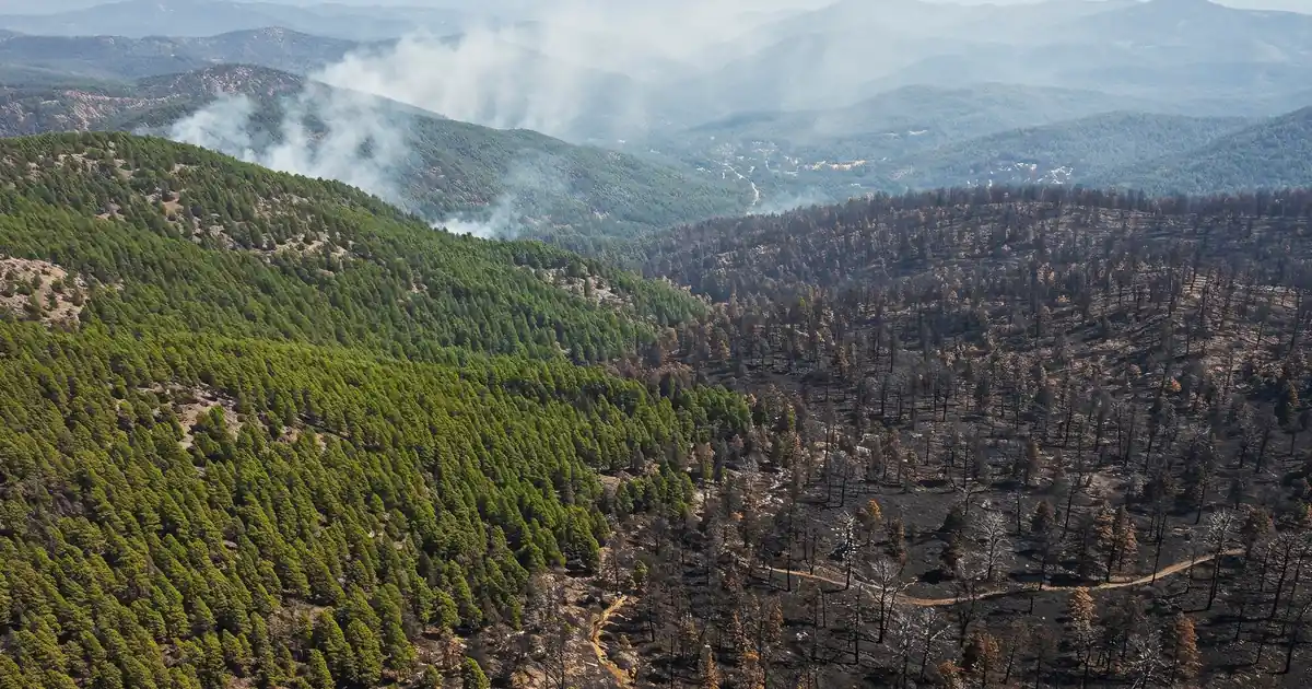 Vista aerea di una foresta colpita da incendio boschivo con fumo in Italia