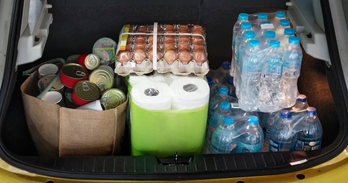 Confronto tra cibo liofilizzato e conserve in scatola per scorte di emergenza