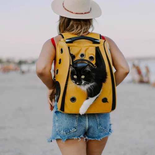 Dispositivo Evacuacion Mascotas hasta 25kg con Cuerda 15m